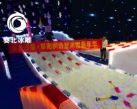 阜陽楓語墅冰雕展「賽北冰雕」