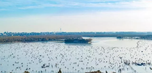 北京滑冰場(chǎng) 北京滑冰場(chǎng)