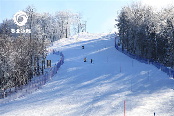 建一個室外滑雪場的主要成本有哪些 建一個室外滑雪場的主要成本有哪些
