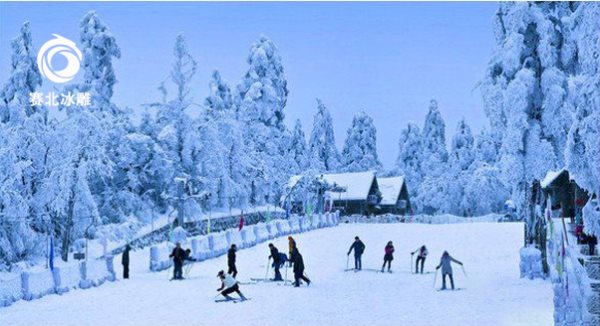 滑雪場建設成本