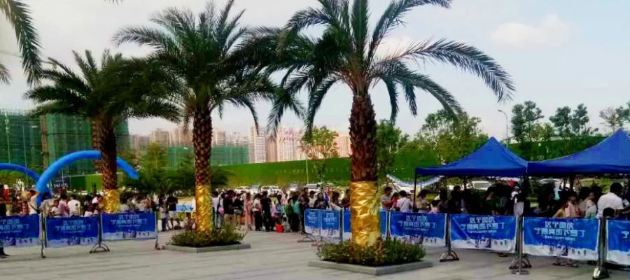 創(chuàng)意冰雕制作