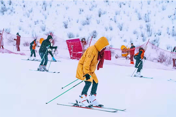 1640849582823569.jpg 446565.jpg